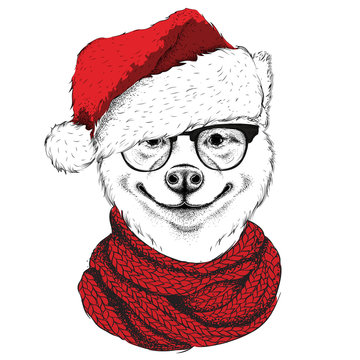 Akita inu in Santa Claus hat runs New Year's background. Vector illustration