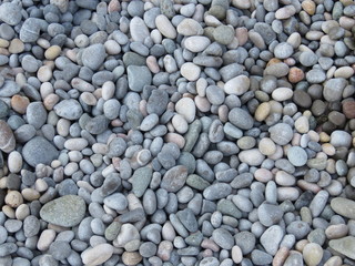 Sea pebble