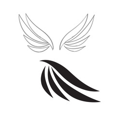 Vector wings isolated on white background. Collection of wings birds illustration