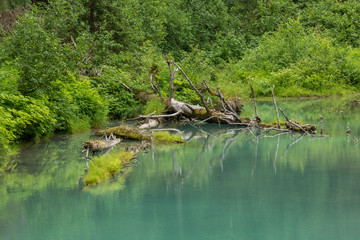 Teich beim Fish Creek Wildlife Observation Site