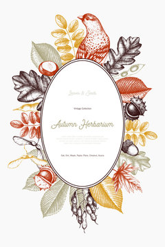 Vintage card design with bird. Hand drawn leaves and seeds illustration. Vector autumn template. Wedding invitation. 