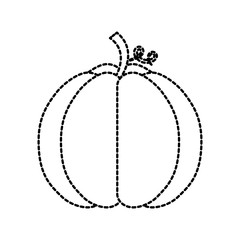 autumn seasonal pupmkin harvest nature vector illustration
