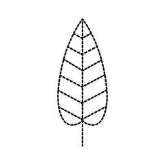 autumn leaf season natural foliage flora vector illustration