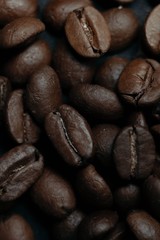 coffee grains on a dark background