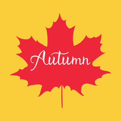 Autumn hand lettering greeting card design element with maple leaves
