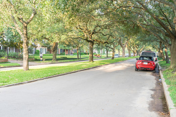 Side view of residential street covered by live oak arched tree branches at upscale neighborhood in Houston, Texas. Car parked side street, woman walks dog. America is excellent green, clean country