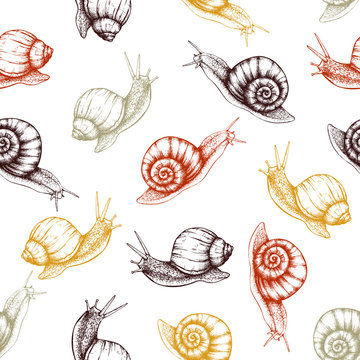 Seamless pattern with hand drawn snails sketch. Vector autumn background. Vintage illustration.