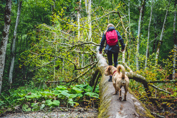 Girl with a dog hiking in forest