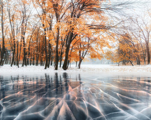October mountain beech forest with first winter snow and blue ice and cracks on the surface of the...
