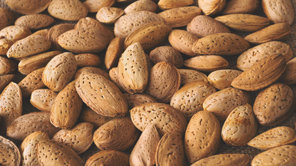 Almond nut in shell as food background. Organic raw almond for vegans