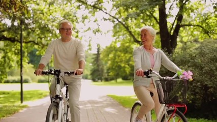 happy senior couple riding bicycles at summer park - Powered by Adobe