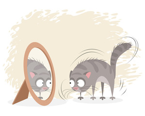 Cat and mirror