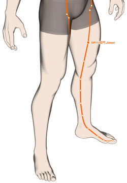Drawing Acupuncture Point SP11 Jimen, 3D Illustration