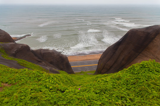 Plants, Cliffs and Ocean