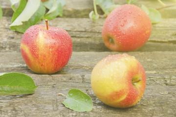 Three apples with water drops
