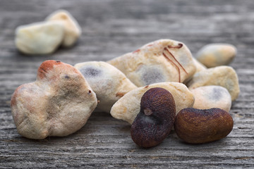 Baobab fruit (Adansonia digitata) on white background, pulp and powder, superfood