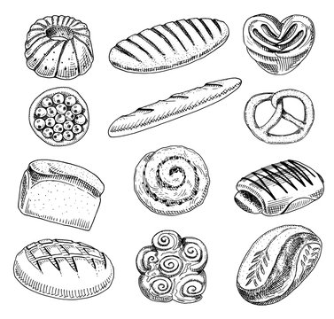 bread and pastry donut, long loaf and fruit pie. sweet bun or croissant, bagels and toasts. engraved hand drawn in old sketch and vintage style for label and menu bakery shop. organic food.