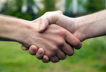 business handshake of two men
