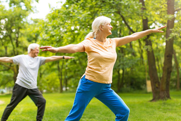 Senior Couple Exercising In Park
