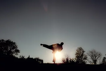 Türaufkleber Martial Artists Silhouette - Side Kick © Shawn