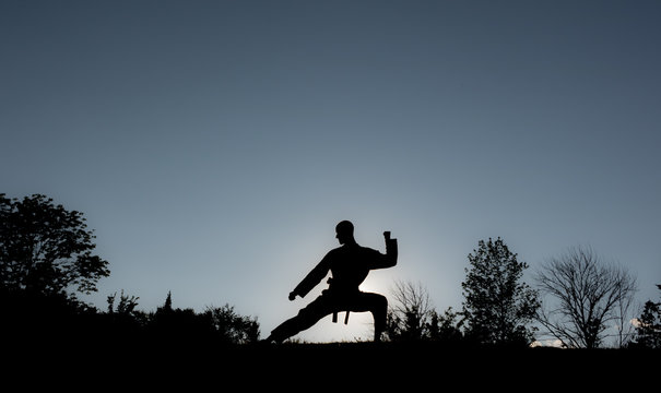 Martial Artists Silhouette - Twin Block - Powered by Adobe