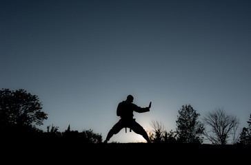 Martial Artists Silhouette - Double Knife Block