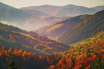 Autumn Mountain Forest. The forest is late autumn.