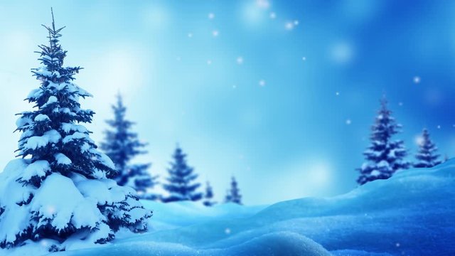 Christmas winter background with fir tree and blurred bokeh 
