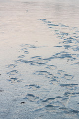 Footsteps frozen into the surface of a lake in Berlin