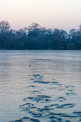 Many footsteps frozen into the icy surface of a lake in Berlin with the shore in the background