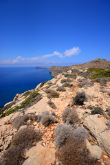 Fototapeta na wymiar Mediterranean landscape
