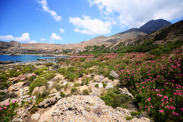 Mediterranean landscape