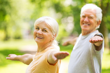 Senior Couple Exercising In Park
