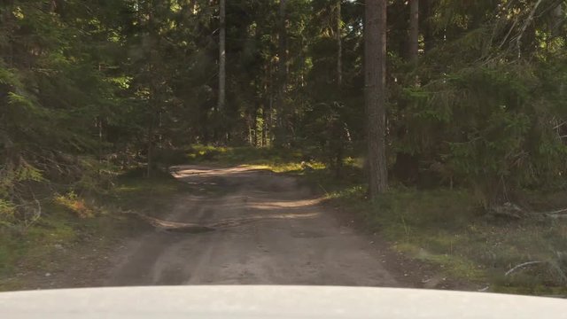 Driving Car Gravel Forest Road. 4K Slowmotion pov.