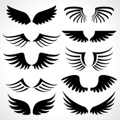 Wings icons set isolated on white background. Vector illustration 