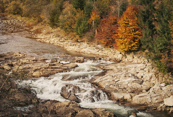 Beautiful Mountain River.Tree on the stone. Stream water. water streem landscape