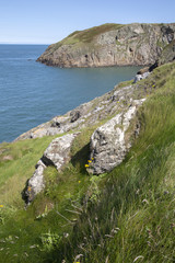 Cliffs at Llanbadrig; Cemaes; Anglesey
