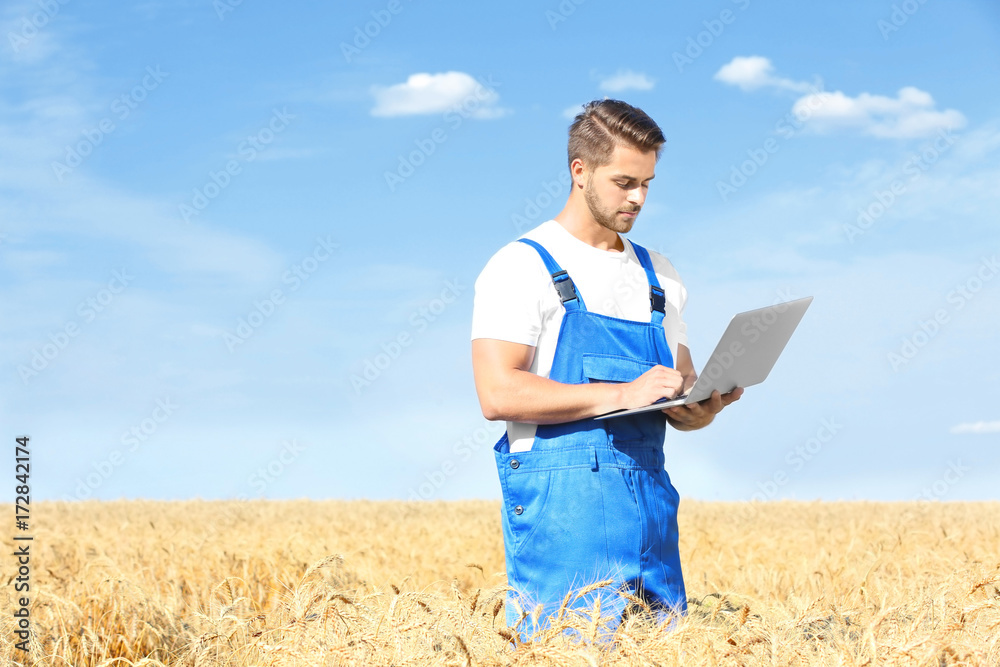 Wall mural young male farmer holding laptop in wheat field