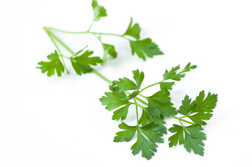 イタリアンパセリ