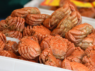 北海道　枝幸　絶品の毛ガニ