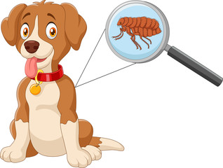 Vector illustration of flea Infested Dog
