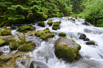 creek in mountain