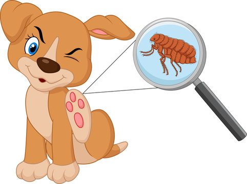 Vector illustration of flea Infested Dog