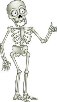 Cartoon skeleton giving thumb up