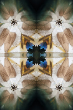 Snowflakes and flowers in dark kalaidoscope's motif