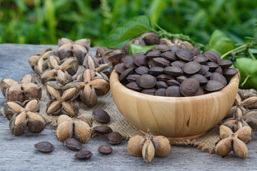sacha inchi, sacha peanut, mountain peanut, Inca nut or Inca-peanut