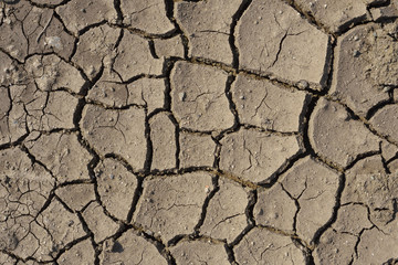 Close up of dried and cracked clay