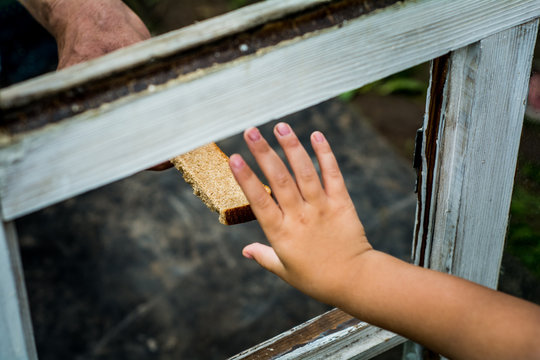 In his hand clutching a piece of bread. The bread passed through the window.
