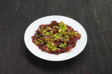 White plate with lettuce