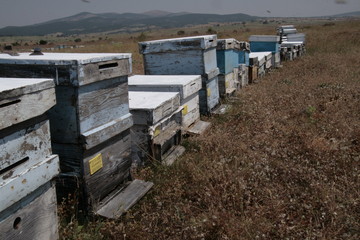 Highlights from village life, Kutahya, Turkey